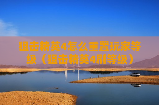 狙击精英4怎么重置玩家等级（狙击精英4刷等级）