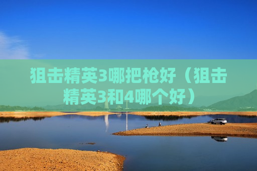狙击精英3哪把枪好（狙击精英3和4哪个好）