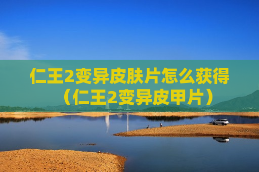 仁王2变异皮肤片怎么获得（仁王2变异皮甲片）