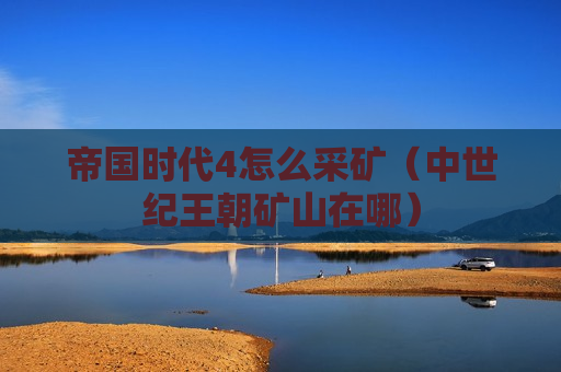 帝国时代4怎么采矿（中世纪王朝矿山在哪）