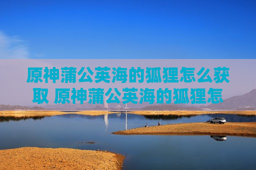 原神蒲公英海的狐狸怎么获取 原神蒲公英海的狐狸怎么收集