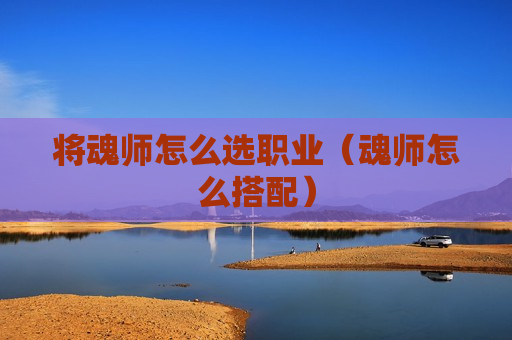 将魂师怎么选职业（魂师怎么搭配）