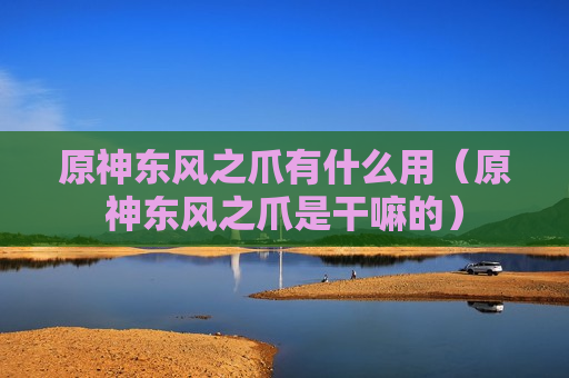 原神东风之爪有什么用（原神东风之爪是干嘛的）