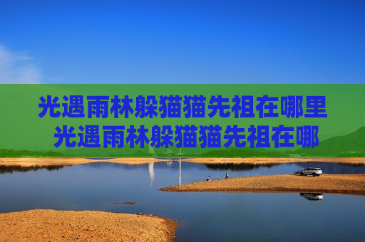 光遇雨林躲猫猫先祖在哪里 光遇雨林躲猫猫先祖在哪里视频