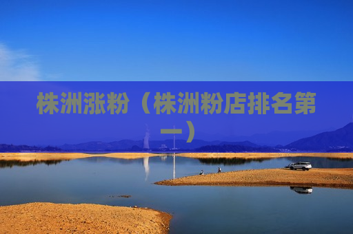 株洲涨粉（株洲粉店排名第一）