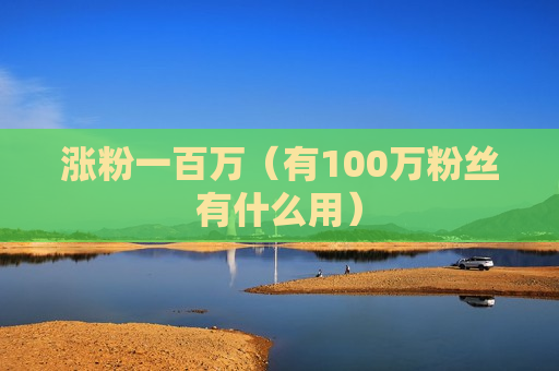 涨粉一百万（有100万粉丝有什么用）
