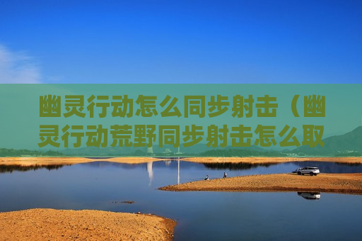 幽灵行动怎么同步射击（幽灵行动荒野同步射击怎么取消）