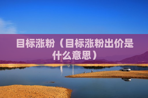 目标涨粉（目标涨粉出价是什么意思）