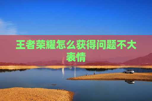 王者荣耀怎么获得问题不大表情