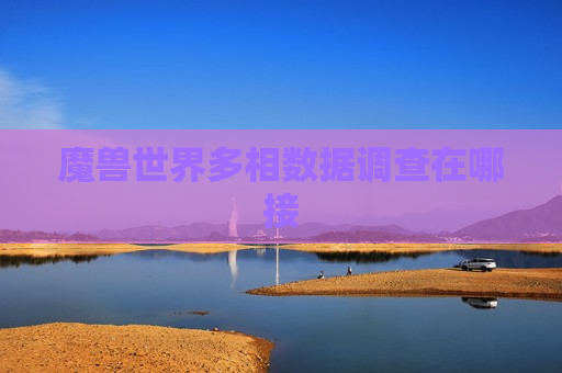 魔兽世界多相数据调查在哪接