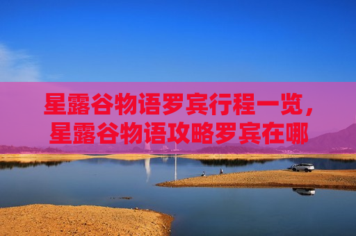 星露谷物语罗宾行程一览，星露谷物语攻略罗宾在哪