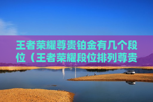 王者荣耀尊贵铂金有几个段位（王者荣耀段位排列尊贵铂金有几个小段位）