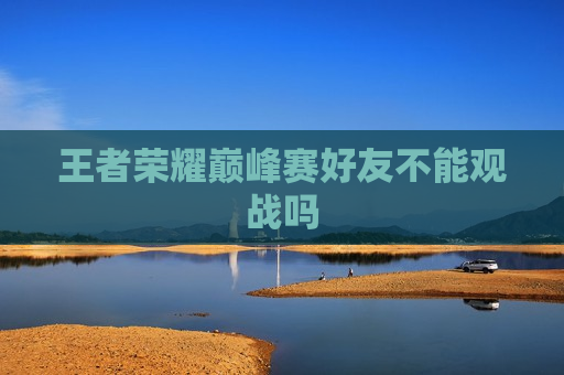 王者荣耀巅峰赛好友不能观战吗