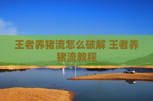 王者养猪流怎么破解 王者养猪流教程