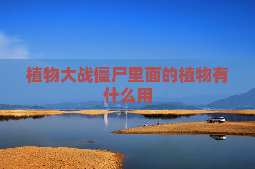 植物大战僵尸里面的植物有什么用