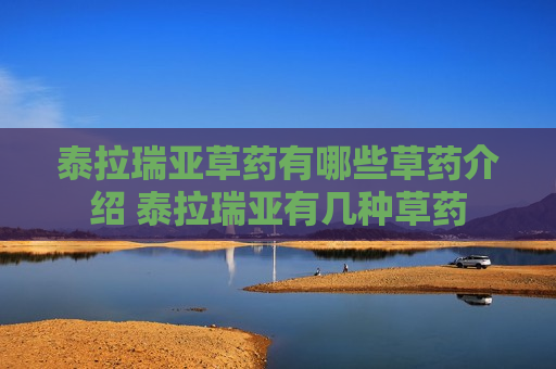 泰拉瑞亚草药有哪些草药介绍 泰拉瑞亚有几种草药