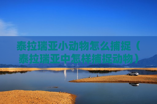 泰拉瑞亚小动物怎么捕捉（泰拉瑞亚中怎样捕捉动物）