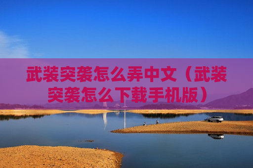 武装突袭怎么弄中文（武装突袭怎么下载手机版）