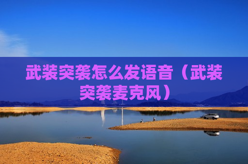 武装突袭怎么发语音（武装突袭麦克风）