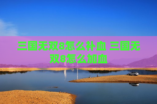 三国无双8怎么补血 三国无双8怎么加血