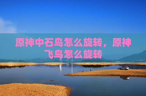 原神中石鸟怎么旋转，原神飞鸟怎么旋转