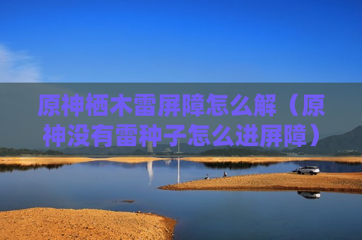 原神栖木雷屏障怎么解（原神没有雷种子怎么进屏障）