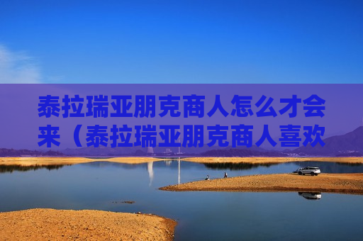 泰拉瑞亚朋克商人怎么才会来（泰拉瑞亚朋克商人喜欢谁）
