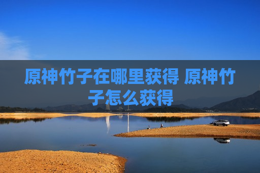 原神竹子在哪里获得 原神竹子怎么获得