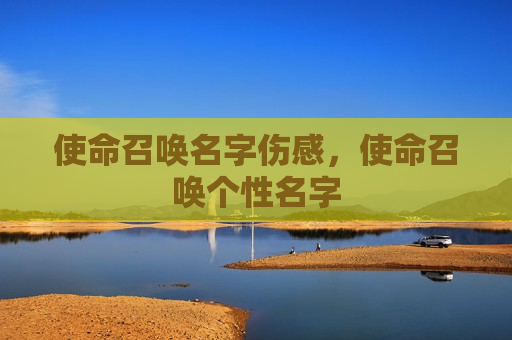 使命召唤名字伤感，使命召唤个性名字