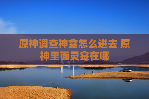 原神调查神龛怎么进去 原神里面灵龛在哪