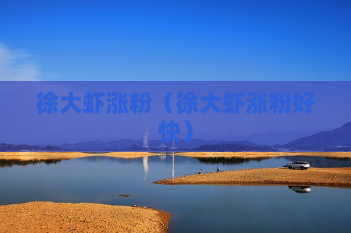 徐大虾涨粉（徐大虾涨粉好快）