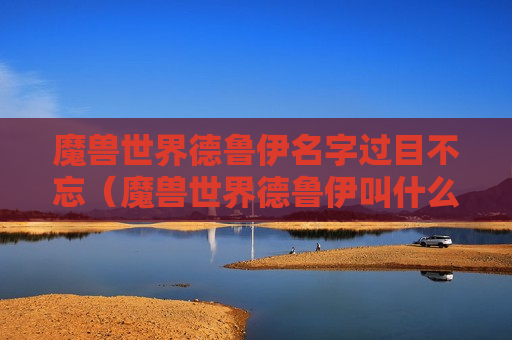 魔兽世界德鲁伊名字过目不忘（魔兽世界德鲁伊叫什么）