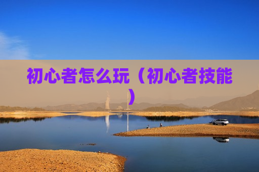 初心者怎么玩（初心者技能）