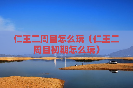 仁王二周目怎么玩（仁王二周目初期怎么玩）