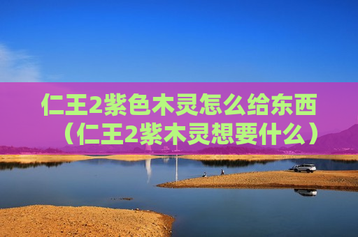 仁王2紫色木灵怎么给东西（仁王2紫木灵想要什么）