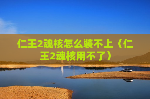 仁王2魂核怎么装不上（仁王2魂核用不了）