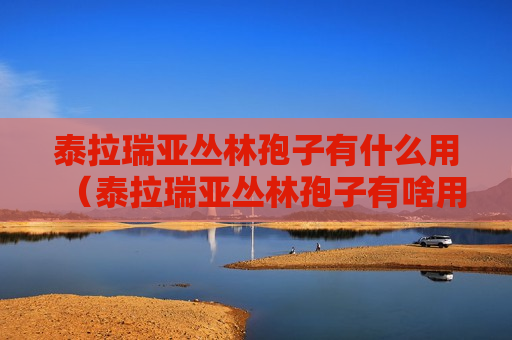 泰拉瑞亚丛林孢子有什么用（泰拉瑞亚丛林孢子有啥用）