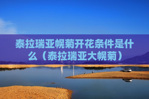 泰拉瑞亚幌菊开花条件是什么（泰拉瑞亚大幌菊）