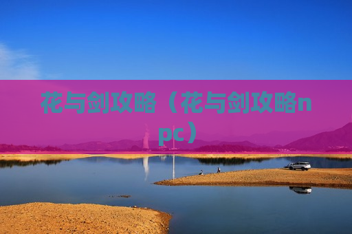 花与剑攻略（花与剑攻略npc）