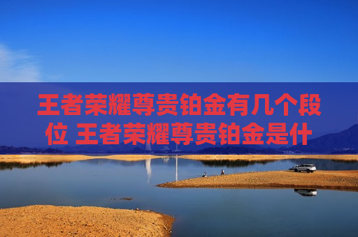王者荣耀尊贵铂金有几个段位 王者荣耀尊贵铂金是什么段位