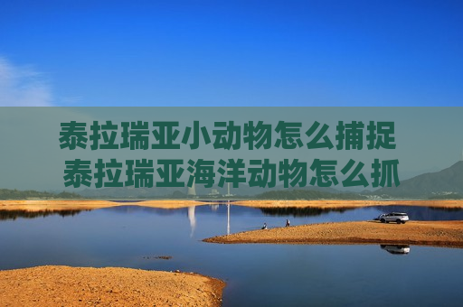 泰拉瑞亚小动物怎么捕捉 泰拉瑞亚海洋动物怎么抓