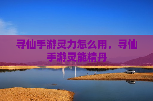 寻仙手游灵力怎么用，寻仙手游灵能精丹