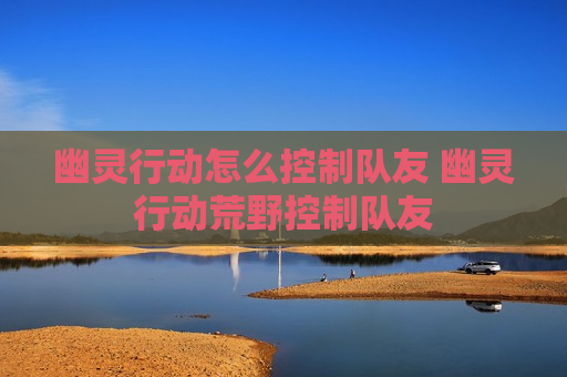 幽灵行动怎么控制队友 幽灵行动荒野控制队友