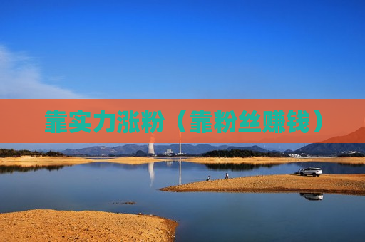 靠实力涨粉（靠粉丝赚钱）
