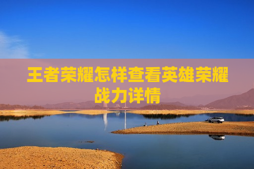 王者荣耀怎样查看英雄荣耀战力详情