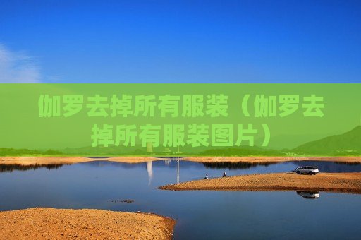 伽罗去掉所有服装（伽罗去掉所有服装图片）