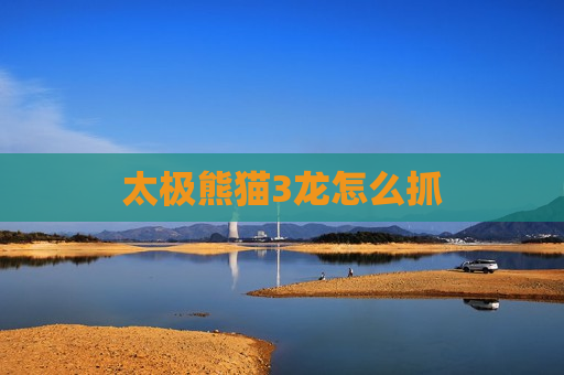 太极熊猫3龙怎么抓