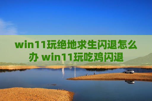 win11玩绝地求生闪退怎么办 win11玩吃鸡闪退