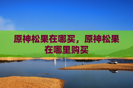 原神松果在哪买，原神松果在哪里购买