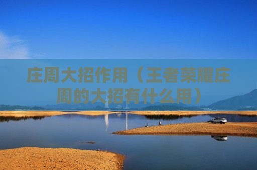 庄周大招作用（王者荣耀庄周的大招有什么用）
